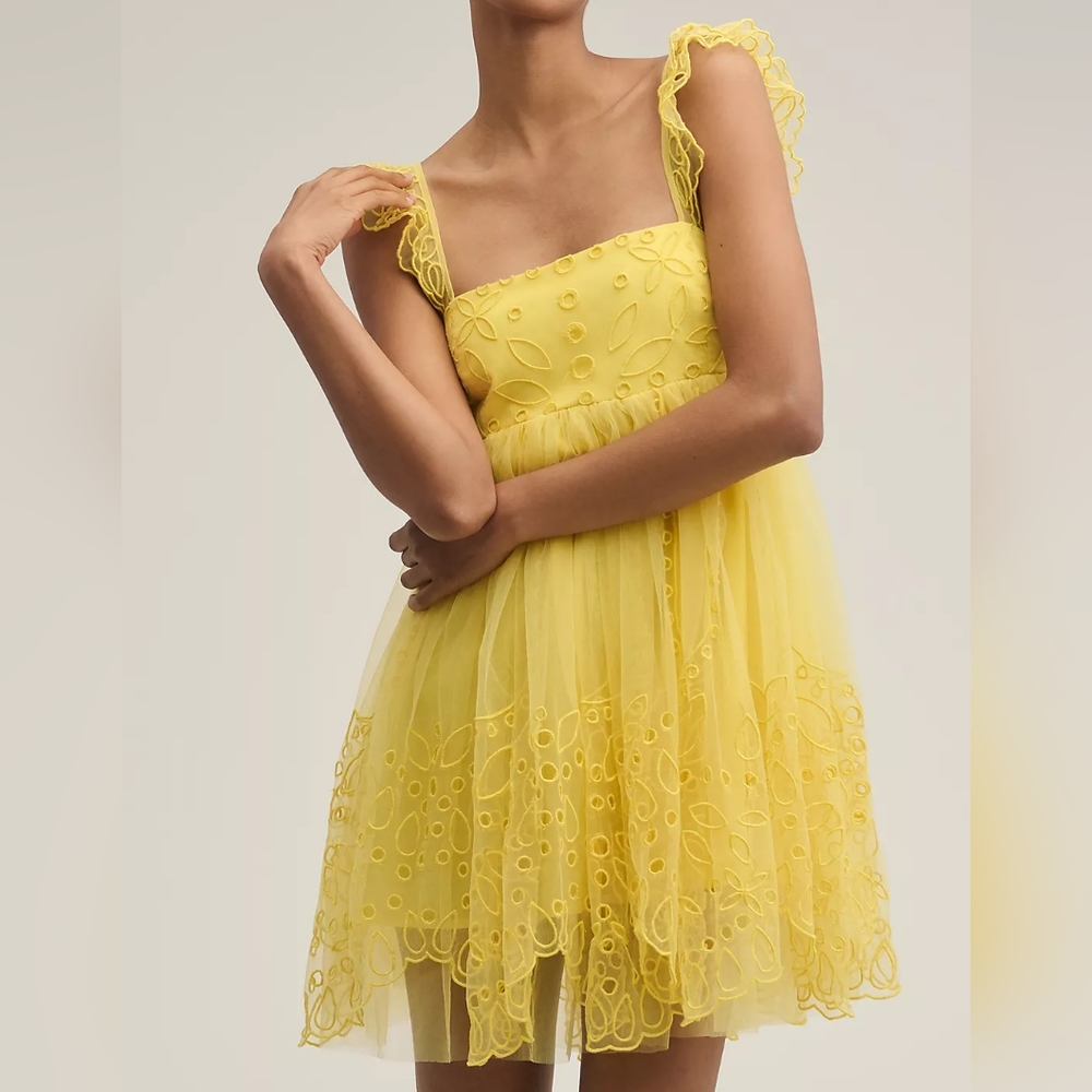 Let Me Be Eyelet Tulle Mini Dress